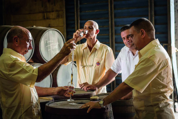 culture rhum 