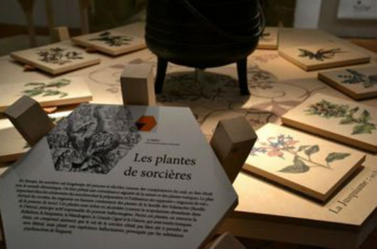 des plantes médicinales exposition