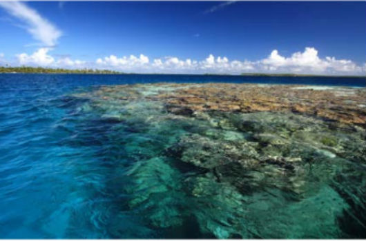 fête de l ocean aquarium tropical du palais de la porte doree