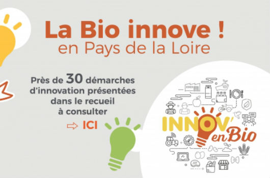 innov en bio