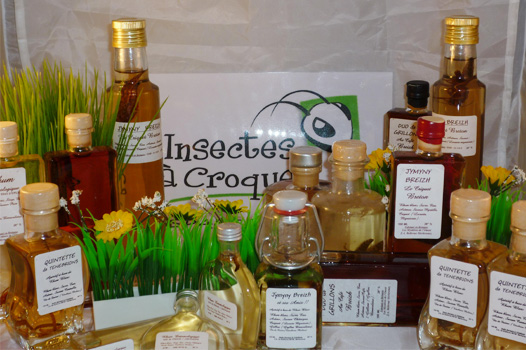 Insectes à croquer