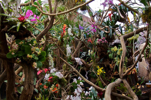 tropical parc