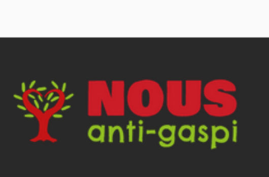 nous logo