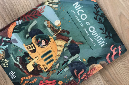 les aventures de nico et ouistiti
