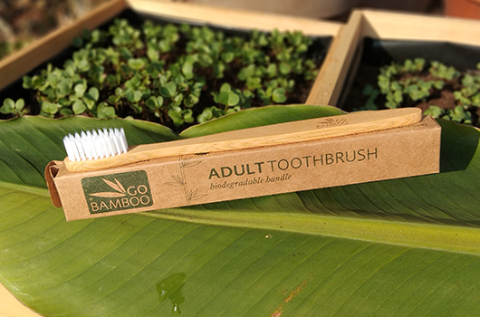 Brosse à dents bambou