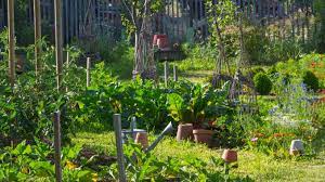 permaculture