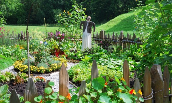 POTAGER 1