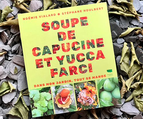 soupe-de-capucine-et-yucca-farci