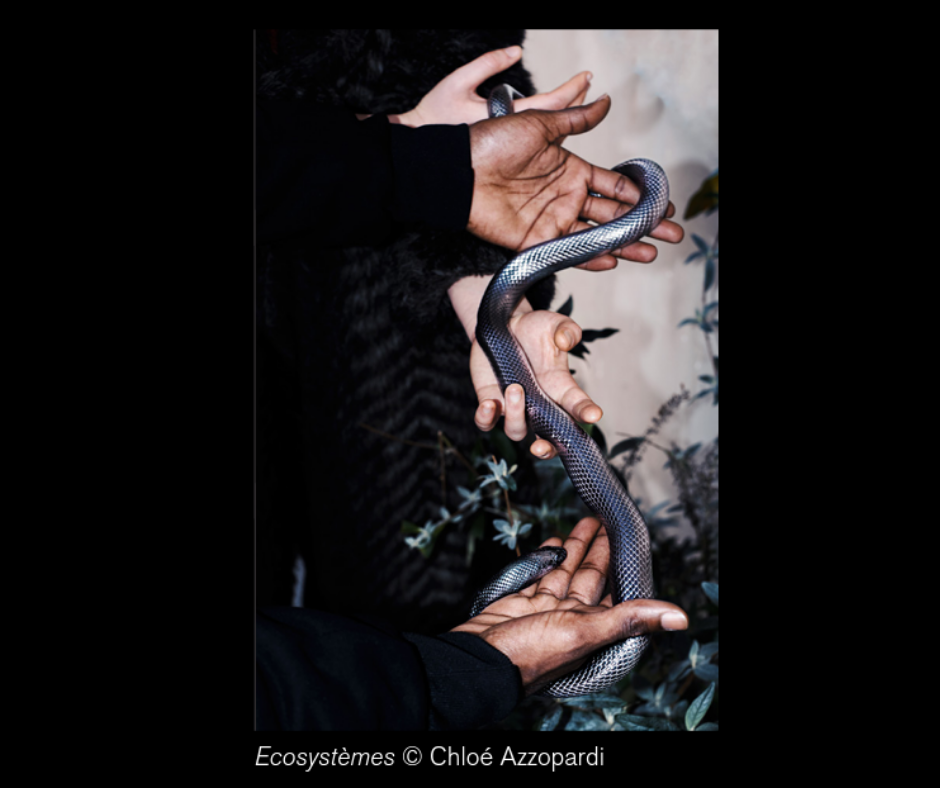 Écosystèmes, Chloé Azzopardi