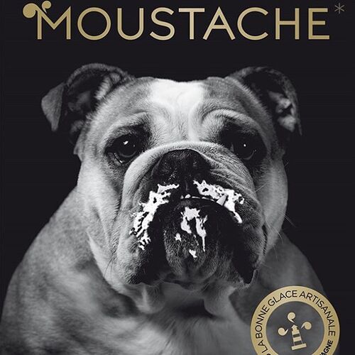 masquotte 