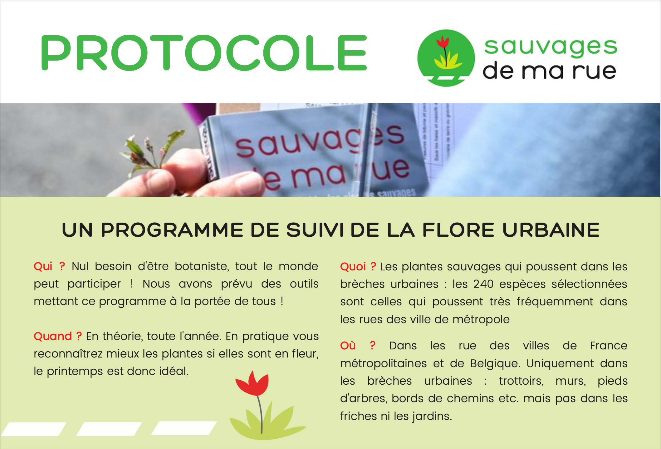 Protocole Sauvages 
