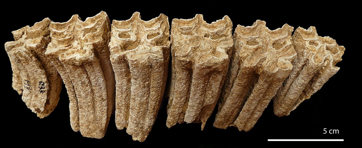 dents