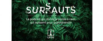 podcast