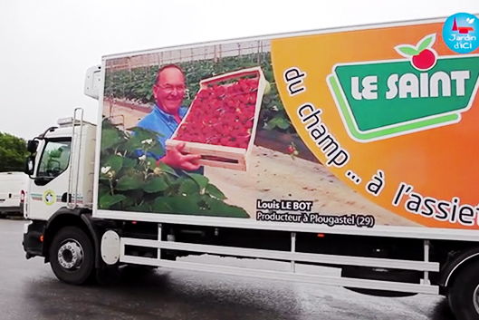 Fraise de Plougastel