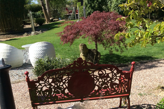 La mare aux oiseaux