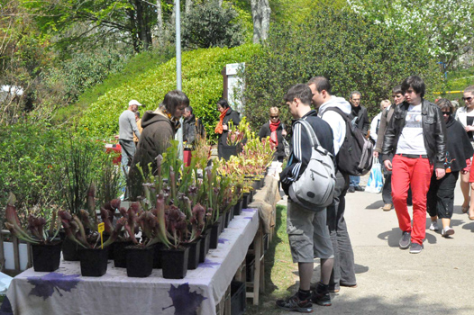 Journée des plantes 2