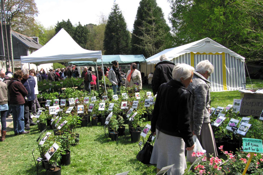 Journée des plantes 3