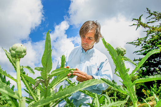 Les chefs cultivent leurs jardins