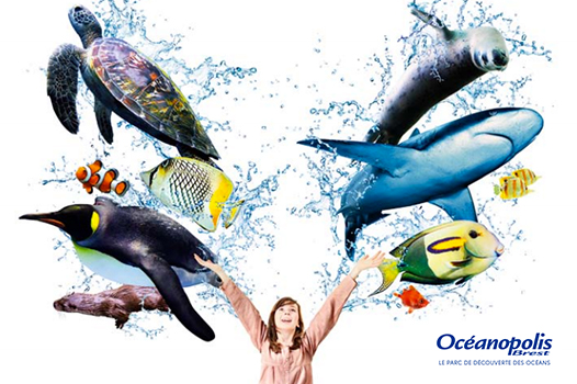 10 millions de visiteurs océanopolis