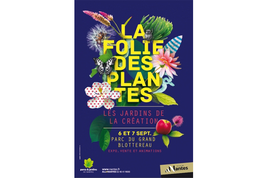 Folie des plantes 2014