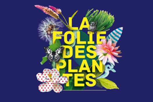 Folie des plantes 2014
