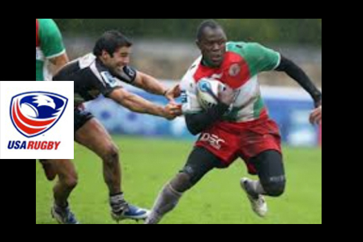 Rugby novembre 2014