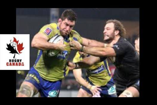 Rugby novembre 2014