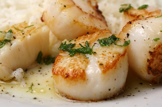 Coquille Saint-Jacques