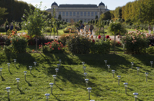 FIAC 2014