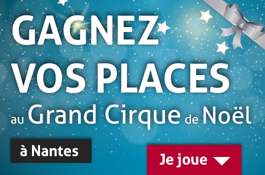 Grand Cirque Noel Nantes