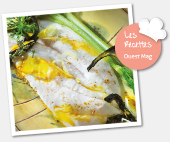 Recette Patrick Jeffroy Saint-Pierre au lait de curry, coco et coriandre