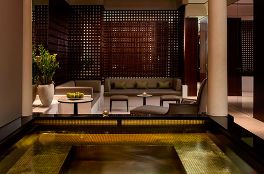 Restaurant Park Hyatt Paris-Vendôme