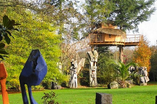 Week-end insolite dans une cabane dans les arbres en Bretagne