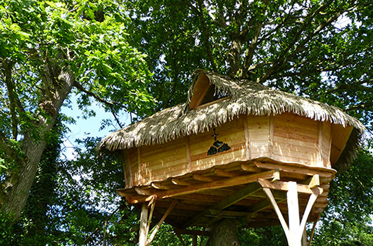 Week-end insolite dans une cabane dans les arbres en Bretagne