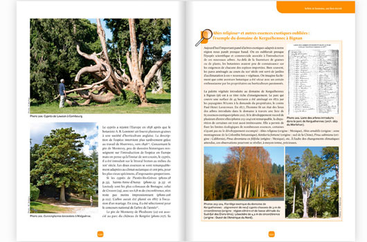 Arbres remarquables de Bretagne