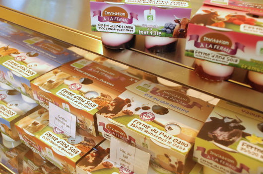 Les produits laitiers d'Invitation à la Ferme