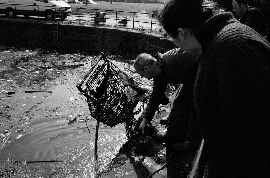 Exposition de Michel Pinsky à La Villette : L'eau qui dort