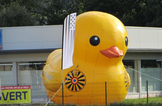 La Duck Race revient en 2016 !