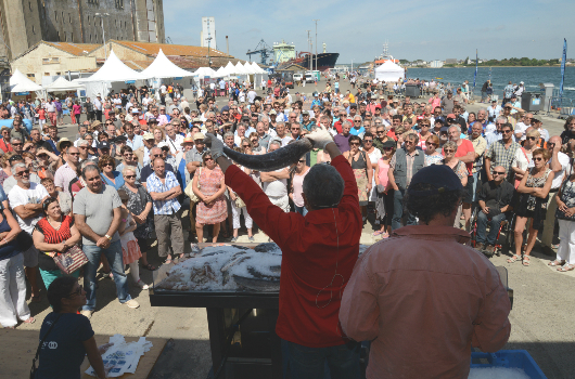 Port en fête à Lorient