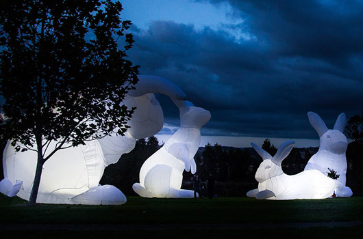 Des lapins géants à Rennes avec Maintenant !