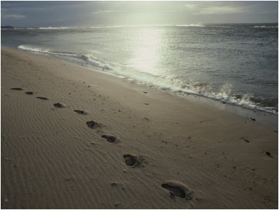 plage bretagne
