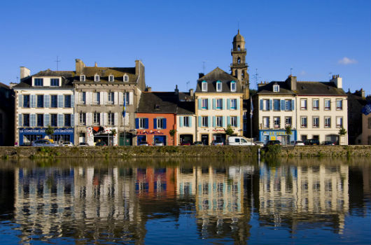 baguette du motard