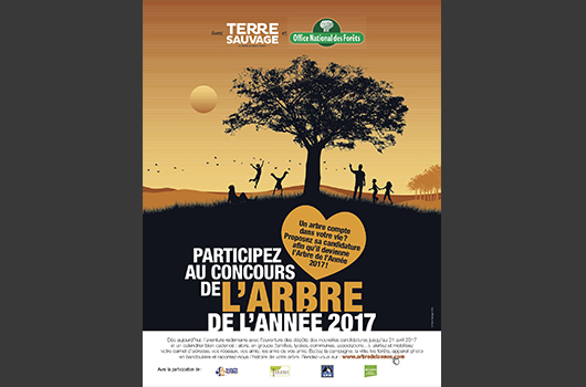6e édition du concours L'Abre de l'année