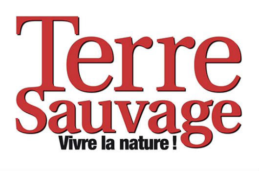 6eme édition du concours arbre de l'annee 