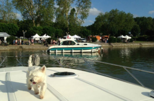 bateaux nicols pour se balader sur les fleuves